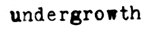 undergrowth-typeface (1K)